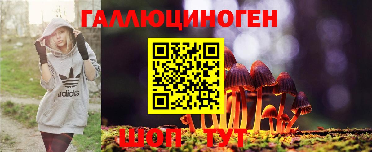 Кингисепп  Галлюциногенные грибы GOLDEN TEACHER  Вход с VPN 
