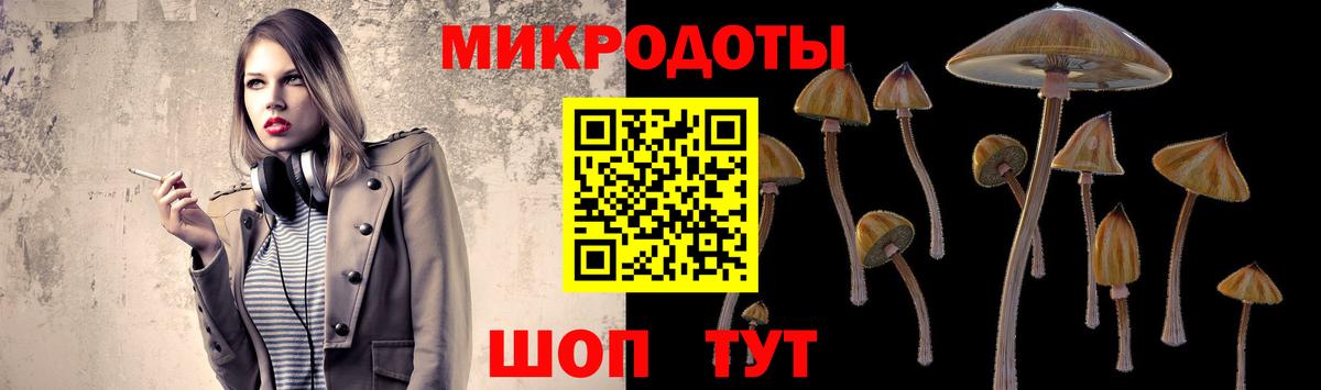 Псилоцибиновые грибы Psilocybe Кингисепп
